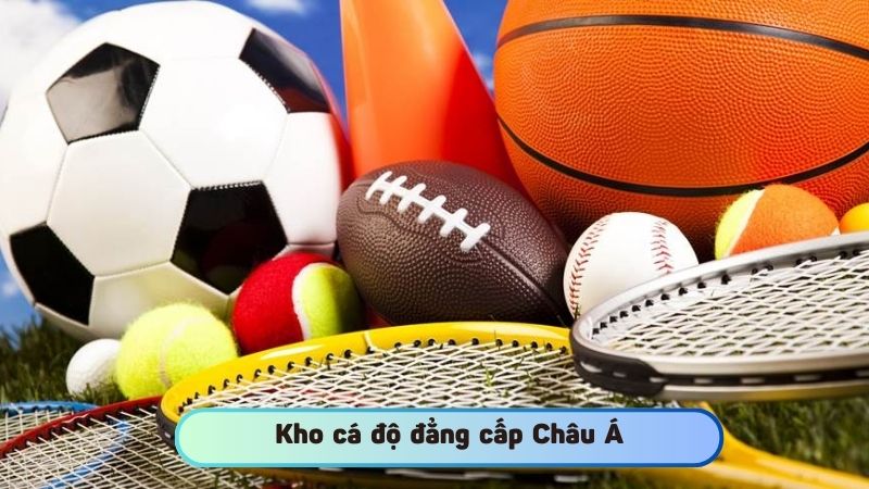 Kho cá độ đẳng cấp Châu Á