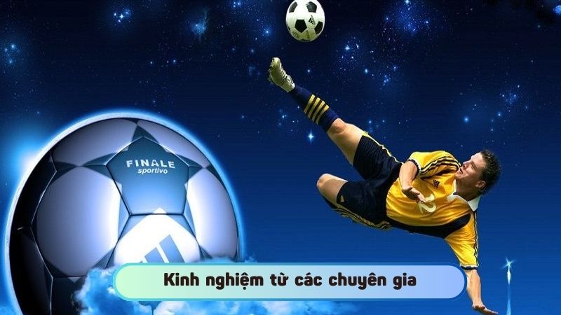 Kinh nghiệm đến từ các chuyên gia thâm niên