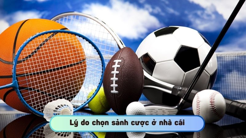 Lý do để bet thủ chọn sảnh cược ở nhà cái