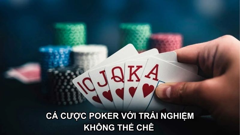 Tham gia cá cược Poker tại Casino 8DAY