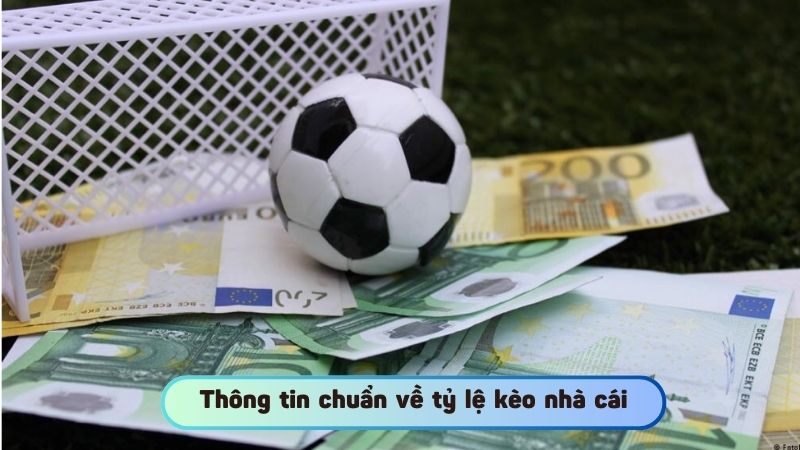 Thông tin chuẩn về tỷ lệ kèo nhà cái